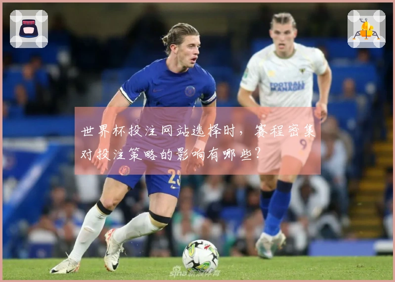 世界杯投注网站选择时，赛程密集对投注策略的影响有哪些？