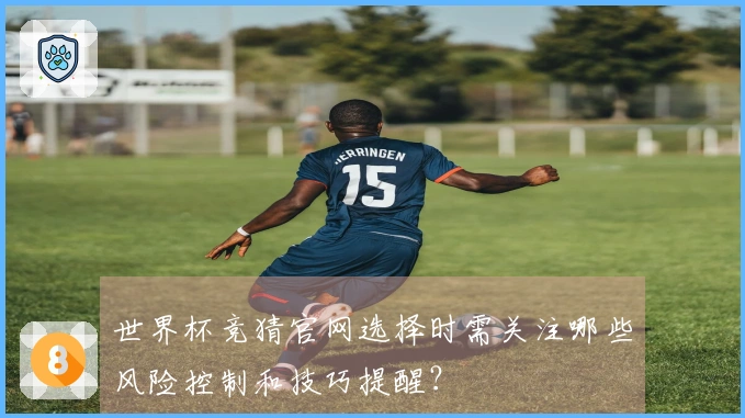 世界杯竞猜官网选择时需关注哪些风险控制和技巧提醒?