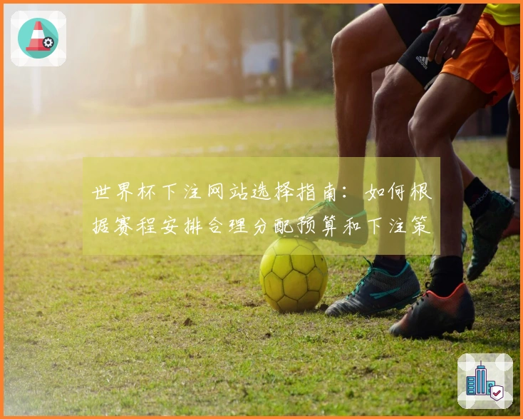 世界杯下注网站选择指南：如何根据赛程安排合理分配预算和下注策略