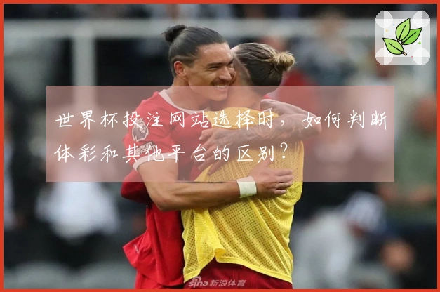 世界杯投注网站选择时,如何判断体彩和其他平台的区别?
