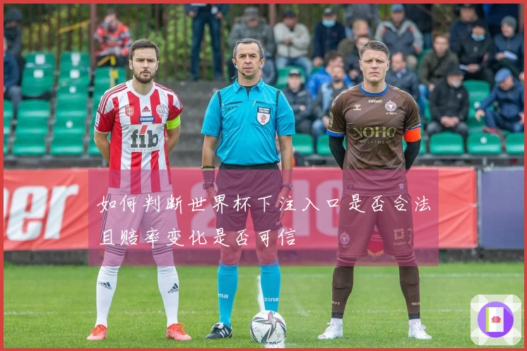 如何判断世界杯下注入口是否合法且赔率变化是否可信