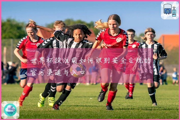 世界杯投注前如何识别安全合规的官方渠道与入口