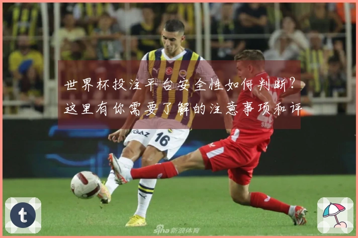 世界杯投注平台安全性如何判断？这里有你需要了解的注意事项和评测流程