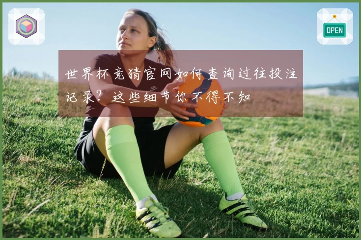世界杯竞猜官网如何查询过往投注记录？这些细节你不得不知