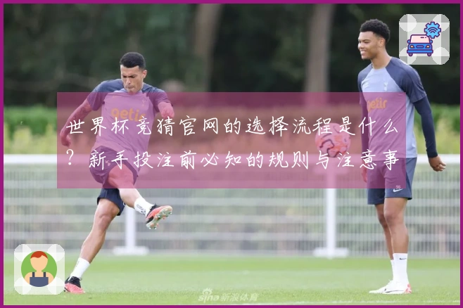 世界杯竞猜官网的选择流程是什么？新手投注前必知的规则与注意事项