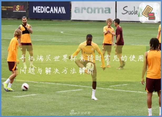 手机端买世界杯竞猜时常见的使用问题与解决方法解析