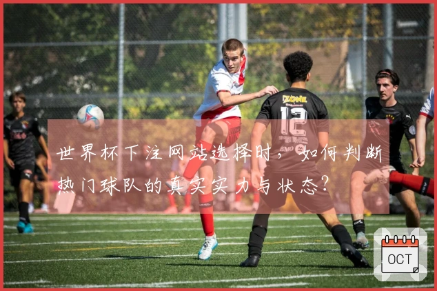 世界杯下注网站选择时，如何判断热门球队的真实实力与状态？