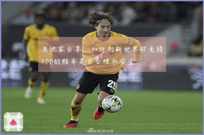 老玩家分享：如何判断世界杯竞猜app的赔率是否合理和安全