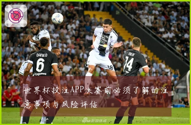 世界杯投注APP决赛前必须了解的注意事项与风险评估