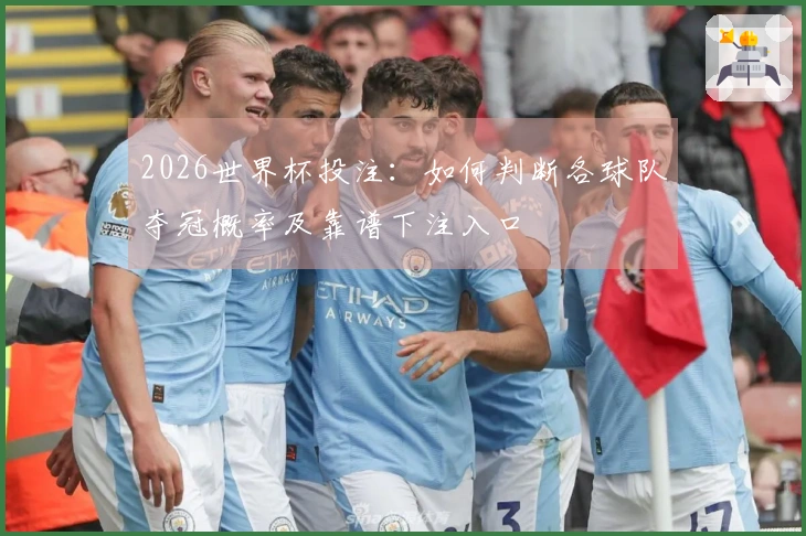 2026世界杯投注：如何判断各球队夺冠概率及靠谱下注入口
