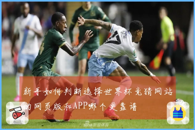 新手如何判断选择世界杯竞猜网站的网页版和APP哪个更靠谱