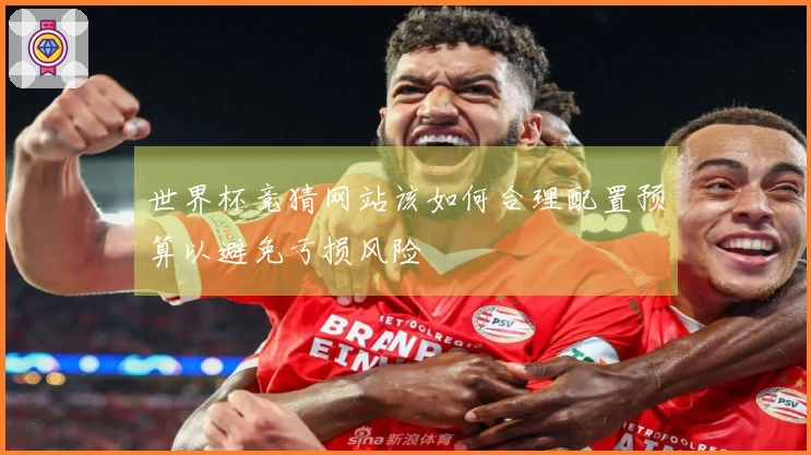世界杯竞猜网站该如何合理配置预算以避免亏损风险