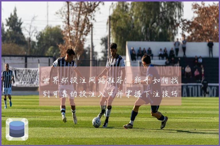 世界杯投注网站推荐：新手如何找到可靠的投注入口并掌握下注技巧
