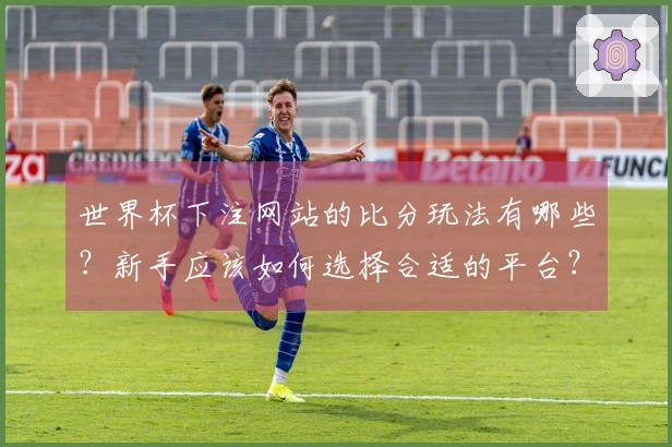 世界杯下注网站的比分玩法有哪些?新手应该如何选择合适的平台?