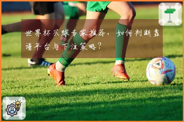 世界杯买球专家推荐，如何判断靠谱平台与下注策略？