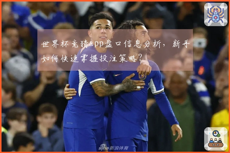 世界杯竞猜app盘口信息分析，新手如何快速掌握投注策略？