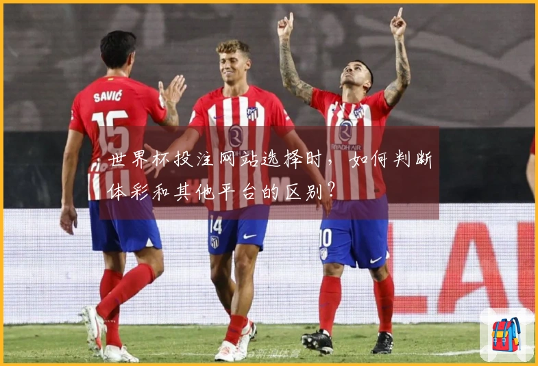 世界杯投注网站选择时，如何判断体彩和其他平台的区别？