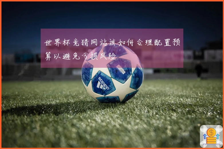 世界杯竞猜网站该如何合理配置预算以避免亏损风险