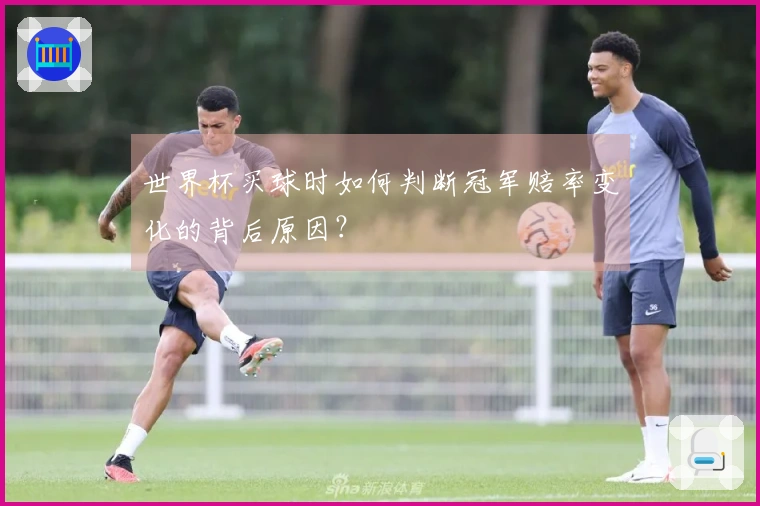 世界杯买球时如何判断冠军赔率变化的背后原因？