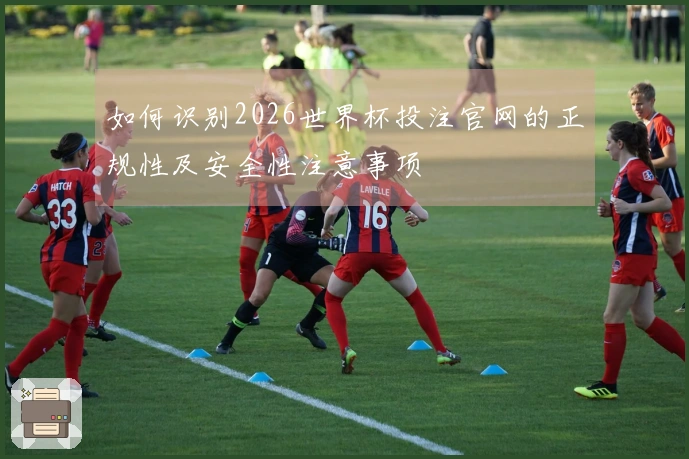 如何识别2026世界杯投注官网的正规性及安全性注意事项
