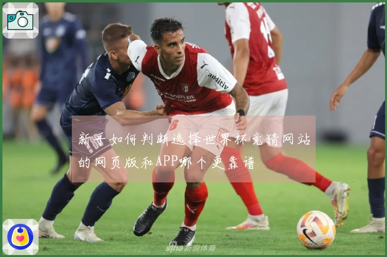 新手如何判断选择世界杯竞猜网站的网页版和APP哪个更靠谱