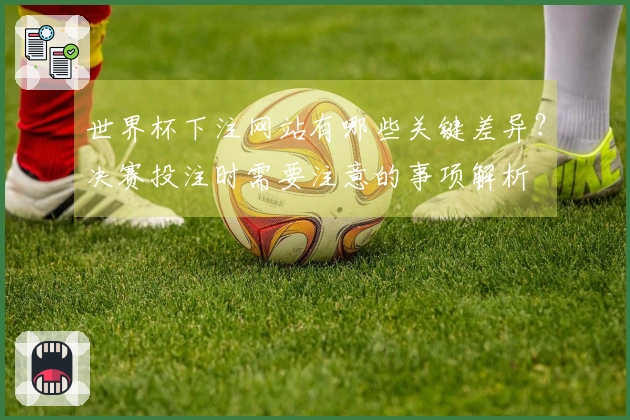 世界杯下注网站有哪些关键差异?决赛投注时需要注意的事项解析