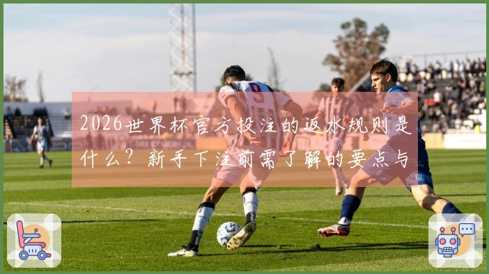 2026世界杯官方投注的返水规则是什么？新手下注前需了解的要点与注意事项