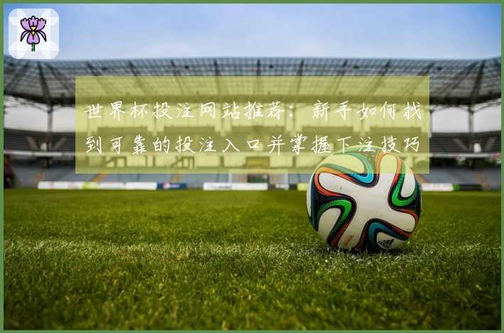世界杯投注网站推荐：新手如何找到可靠的投注入口并掌握下注技巧
