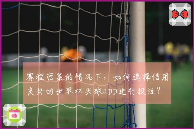 赛程密集的情况下,如何选择信用良好的世界杯买球app进行投注?