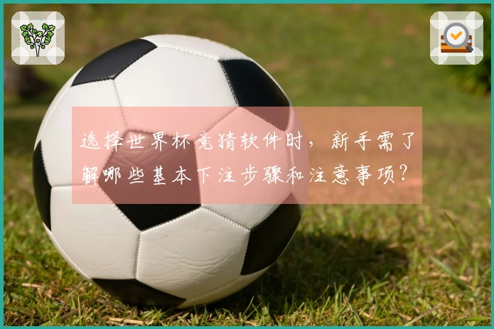 选择世界杯竞猜软件时，新手需了解哪些基本下注步骤和注意事项？