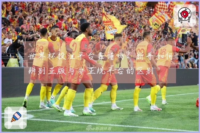 世界杯投注平台靠谱吗?新手如何辨别正版与非正规平台的区别