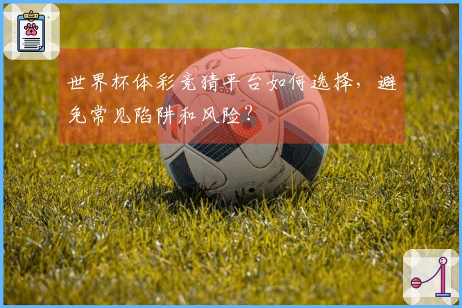 世界杯体彩竞猜平台如何选择,避免常见陷阱和风险?