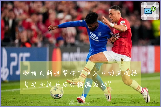 如何判断世界杯下注入口的正规性与安全性并应对输赢波动?