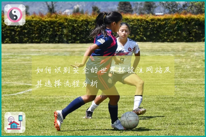 如何识别安全的世界杯投注网站及其选择流程分析