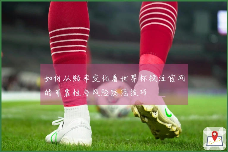如何从赔率变化看世界杯投注官网的可靠性与风险防范技巧